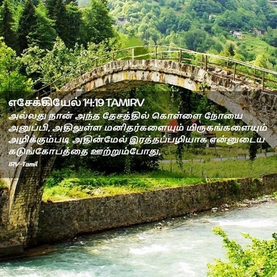 Picture 02 - எசேக்கியேல் 14:19 TAMIRV - அல்லது நான் அந்த - Bible Verse Picture