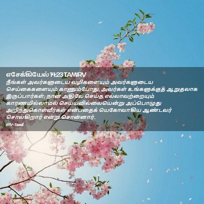 Picture 02 - எசேக்கியேல் 14:23 TAMIRV - நீங்கள் - Bible Verse Picture