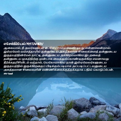 Picture 02 - எசேக்கியேல் 14:4 TAMIRV - ஆகையால், நீ - Bible Verse Picture