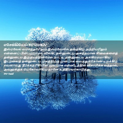 Picture 02 - எசேக்கியேல் 14:7 TAMIRV - இஸ்ரவேல் - Bible Verse Picture