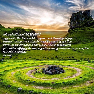 Picture 02 - எசேக்கியேல் 15:6 TAMIRV - ஆதலால், யெகோவாகிய - Bible Verse Picture