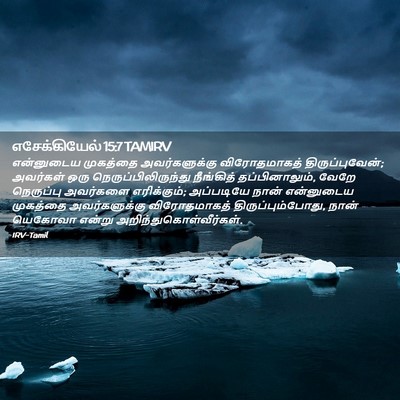 Picture 02 - எசேக்கியேல் 15:7 TAMIRV - என்னுடைய முகத்தை - Bible Verse Picture
