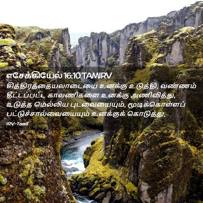 Picture 02 - எசேக்கியேல் 16:10 TAMIRV -  - Bible Verse Picture