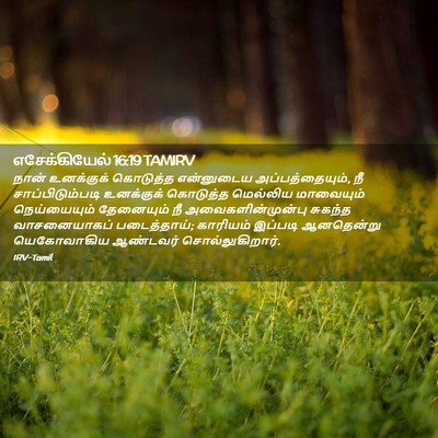 Picture 02 - எசேக்கியேல் 16:19 TAMIRV - நான் உனக்குக் - Bible Verse Picture