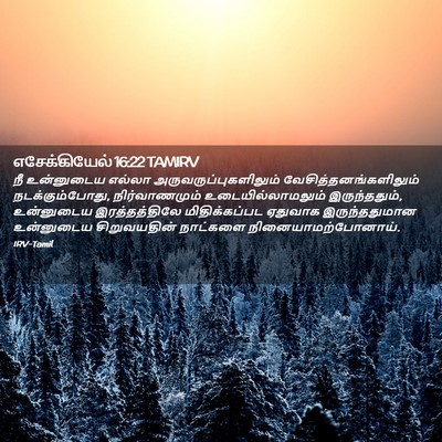 Picture 02 - எசேக்கியேல் 16:22 TAMIRV - நீ உன்னுடைய எல்லா - Bible Verse Picture