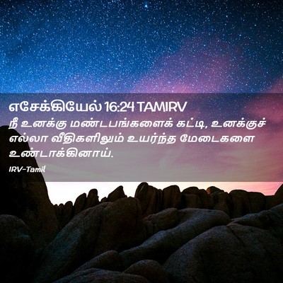 Picture 02 - எசேக்கியேல் 16:24 TAMIRV - நீ உனக்கு - Bible Verse Picture
