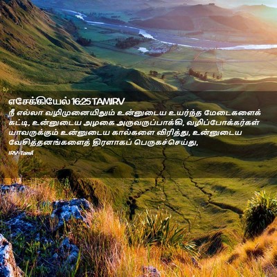 Picture 02 - எசேக்கியேல் 16:25 TAMIRV - நீ எல்லா - Bible Verse Picture