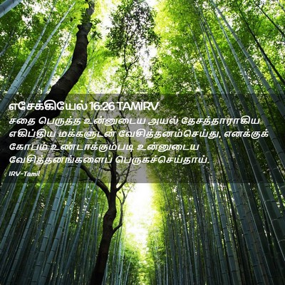 Picture 02 - எசேக்கியேல் 16:26 TAMIRV - சதை பெருத்த - Bible Verse Picture