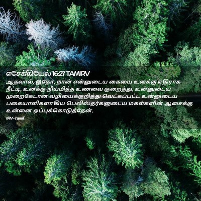 Picture 02 - எசேக்கியேல் 16:27 TAMIRV - ஆதலால், இதோ, நான் - Bible Verse Picture