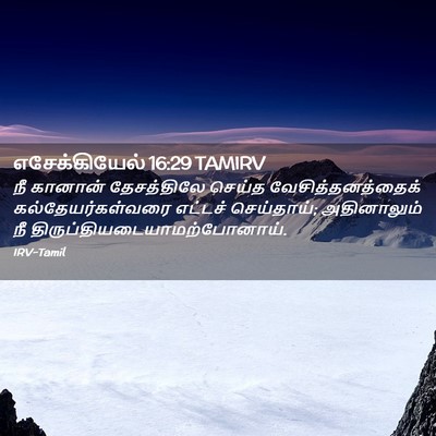 Picture 02 - எசேக்கியேல் 16:29 TAMIRV - நீ கானான் - Bible Verse Picture