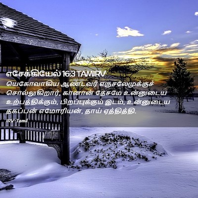 Picture 02 - எசேக்கியேல் 16:3 TAMIRV - யெகோவாகிய ஆண்டவர் - Bible Verse Picture