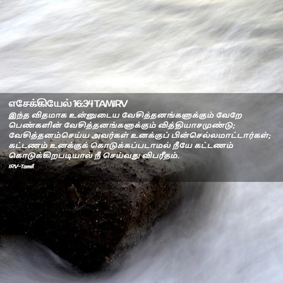 Picture 02 - எசேக்கியேல் 16:34 TAMIRV - இந்த விதமாக - Bible Verse Picture