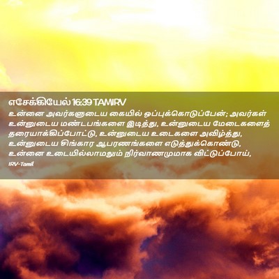 Picture 02 - எசேக்கியேல் 16:39 TAMIRV - உன்னை அவர்களுடைய - Bible Verse Picture
