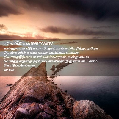 Picture 02 - எசேக்கியேல் 16:41 TAMIRV - உன்னுடைய வீடுகளை - Bible Verse Picture