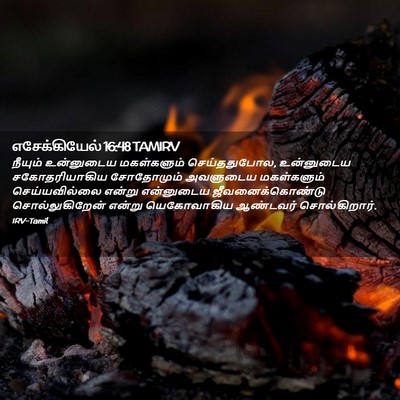 Picture 02 - எசேக்கியேல் 16:48 TAMIRV - நீயும் உன்னுடைய - Bible Verse Picture