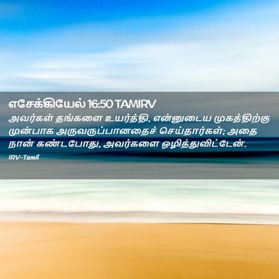 Picture 02 - எசேக்கியேல் 16:50 TAMIRV - அவர்கள் தங்களை - Bible Verse Picture