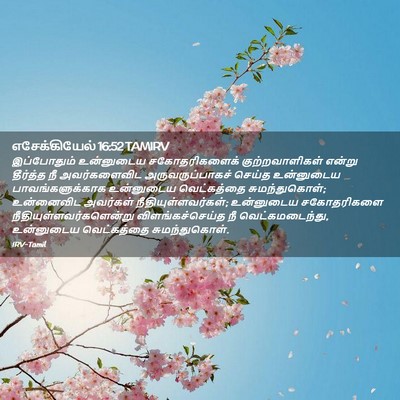 Picture 02 - எசேக்கியேல் 16:52 TAMIRV - இப்போதும் - Bible Verse Picture