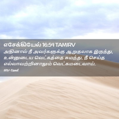 Picture 02 - எசேக்கியேல் 16:54 TAMIRV - அதினால் நீ - Bible Verse Picture