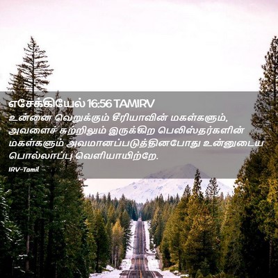 Picture 02 - எசேக்கியேல் 16:56 TAMIRV - உன்னை வெறுக்கும் - Bible Verse Picture
