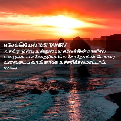 Picture 02 - எசேக்கியேல் 16:57 TAMIRV - அதற்கு முன்பு - Bible Verse Picture