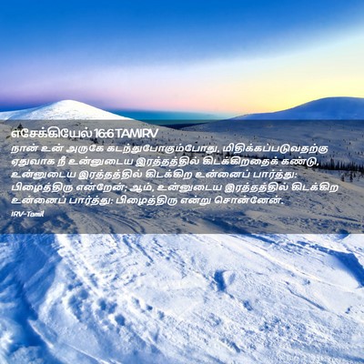 Picture 02 - எசேக்கியேல் 16:6 TAMIRV - நான் உன் அருகே - Bible Verse Picture