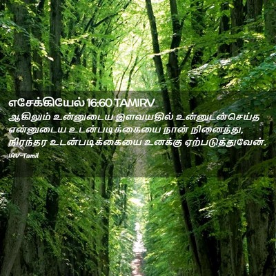 Picture 02 - எசேக்கியேல் 16:60 TAMIRV - ஆகிலும் உன்னுடைய - Bible Verse Picture
