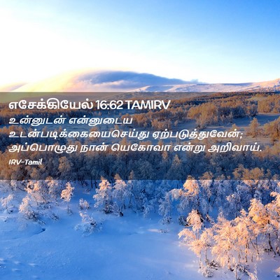 Picture 02 - எசேக்கியேல் 16:62 TAMIRV - உன்னுடன் என்னுடைய - Bible Verse Picture