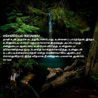 Picture 02 - எசேக்கியேல் 16:8 TAMIRV - நான் உன் அருகே - Bible Verse Picture