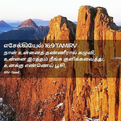 Picture 02 - எசேக்கியேல் 16:9 TAMIRV - நான் உன்னைத் - Bible Verse Picture
