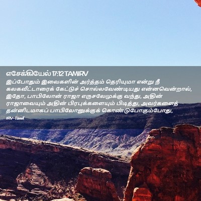 Picture 02 - எசேக்கியேல் 17:12 TAMIRV - இப்போதும் - Bible Verse Picture
