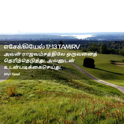 Picture 02 - எசேக்கியேல் 17:13 TAMIRV - அவன் - Bible Verse Picture