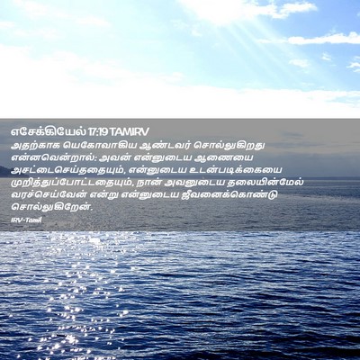 Picture 02 - எசேக்கியேல் 17:19 TAMIRV - அதற்காக யெகோவாகிய - Bible Verse Picture
