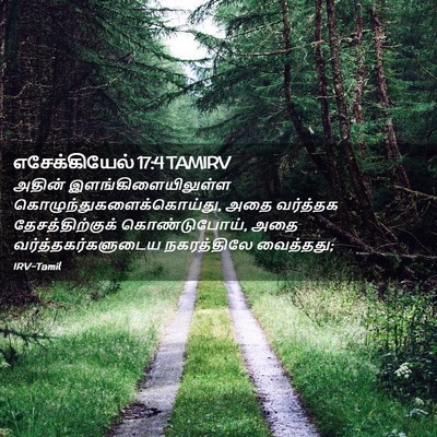 Picture 02 - எசேக்கியேல் 17:4 TAMIRV - அதின் - Bible Verse Picture