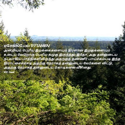 Picture 02 - எசேக்கியேல் 17:7 TAMIRV - அன்றியும் பெரிய - Bible Verse Picture
