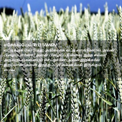 Picture 02 - எசேக்கியேல் 18:13 TAMIRV - வட்டிக்குக் - Bible Verse Picture