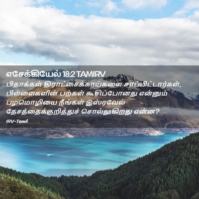 Picture 02 - எசேக்கியேல் 18:2 TAMIRV - பிதாக்கள் - Bible Verse Picture