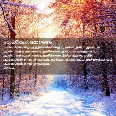 Picture 02 - எசேக்கியேல் 18:20 TAMIRV - பாவம்செய்கிற - Bible Verse Picture