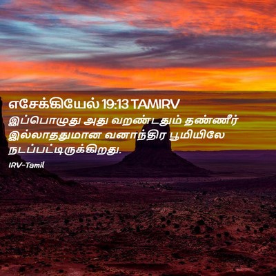 Picture 02 - எசேக்கியேல் 19:13 TAMIRV - இப்பொழுது அது - Bible Verse Picture