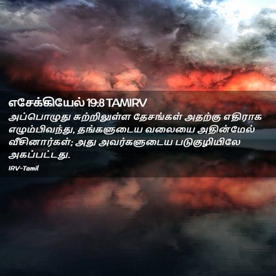 Picture 02 - எசேக்கியேல் 19:8 TAMIRV - அப்பொழுது - Bible Verse Picture