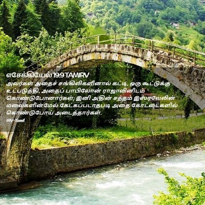 Picture 02 - எசேக்கியேல் 19:9 TAMIRV - அவர்கள் அதைச் - Bible Verse Picture