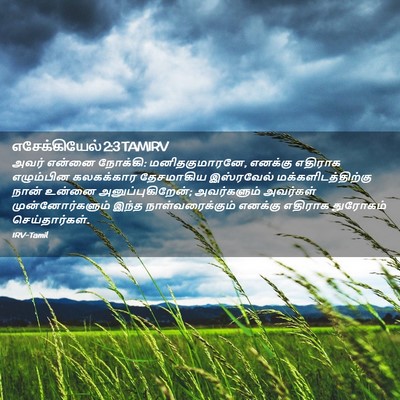 Picture 02 - எசேக்கியேல் 2:3 TAMIRV - அவர் என்னை நோக்கி: - Bible Verse Picture