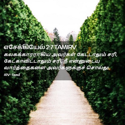 Picture 02 - எசேக்கியேல் 2:7 TAMIRV - கலகக்காரராகிய - Bible Verse Picture