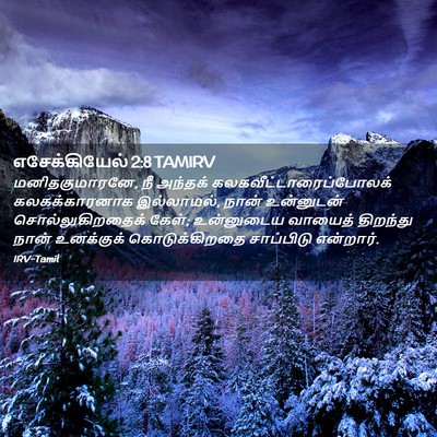 Picture 02 - எசேக்கியேல் 2:8 TAMIRV - மனிதகுமாரனே, நீ - Bible Verse Picture