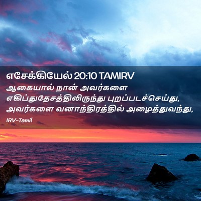 Picture 02 - எசேக்கியேல் 20:10 TAMIRV - ஆகையால் நான் - Bible Verse Picture