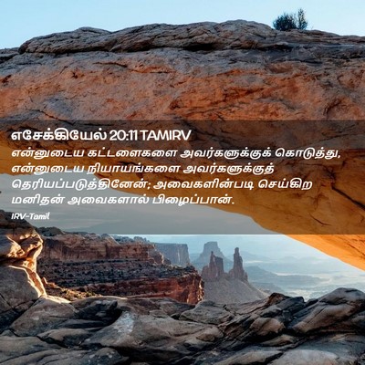 Picture 02 - எசேக்கியேல் 20:11 TAMIRV - என்னுடைய - Bible Verse Picture