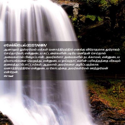 Picture 02 - எசேக்கியேல் 20:13 TAMIRV - ஆனாலும் இஸ்ரவேல் - Bible Verse Picture