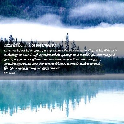 Picture 02 - எசேக்கியேல் 20:18 TAMIRV - வனாந்திரத்தில் - Bible Verse Picture