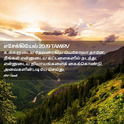 Picture 02 - எசேக்கியேல் 20:19 TAMIRV - உங்களுடைய - Bible Verse Picture
