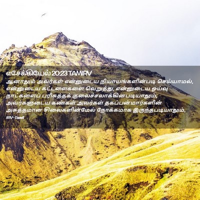Picture 02 - எசேக்கியேல் 20:23 TAMIRV - ஆனாலும் அவர்கள் - Bible Verse Picture
