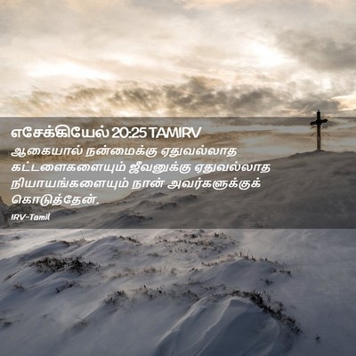 Picture 02 - எசேக்கியேல் 20:25 TAMIRV - ஆகையால் நன்மைக்கு - Bible Verse Picture